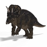 Diceratops